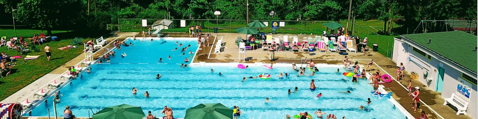 Delhi Swim Club pool view